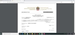 how to check uae labour contract online