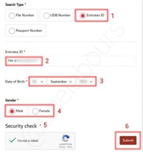 UAE Visa Fine Check 2025 | How to Check Overstay Fine Online