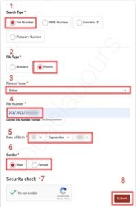 UAE Visa Fine Check 2025 | How to Check Overstay Fine Online