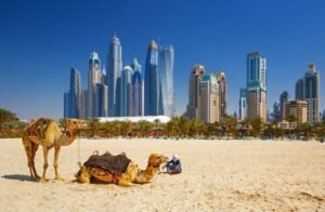 UAE LIVING AND TRAVEL GUIDE