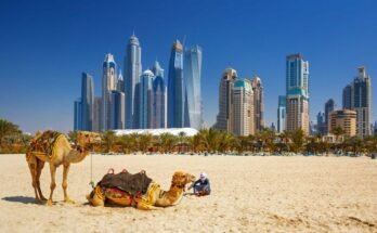 UAE LIVING AND TRAVEL GUIDE